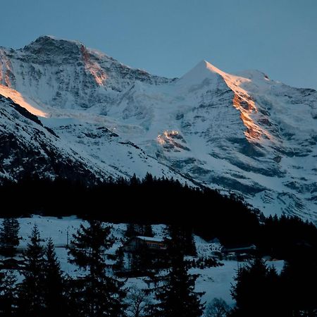 Hotel Edelweiss Wengen Bagian luar foto