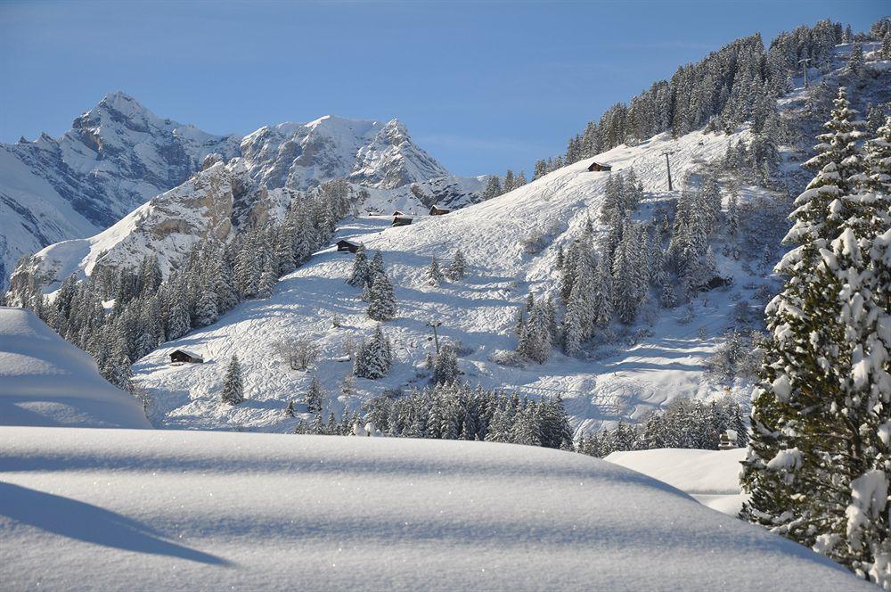 Hotel Edelweiss Wengen Bagian luar foto