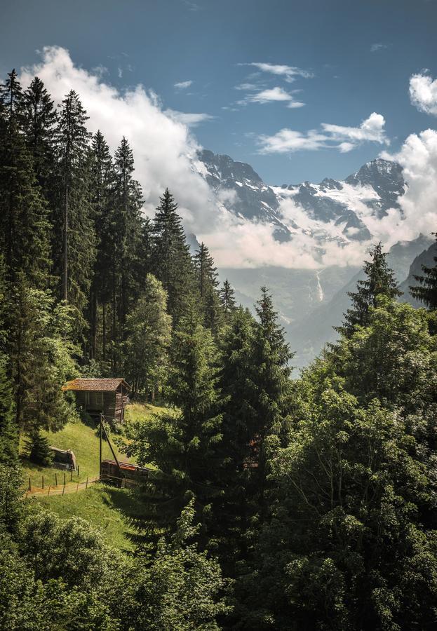 Hotel Edelweiss Wengen Bagian luar foto