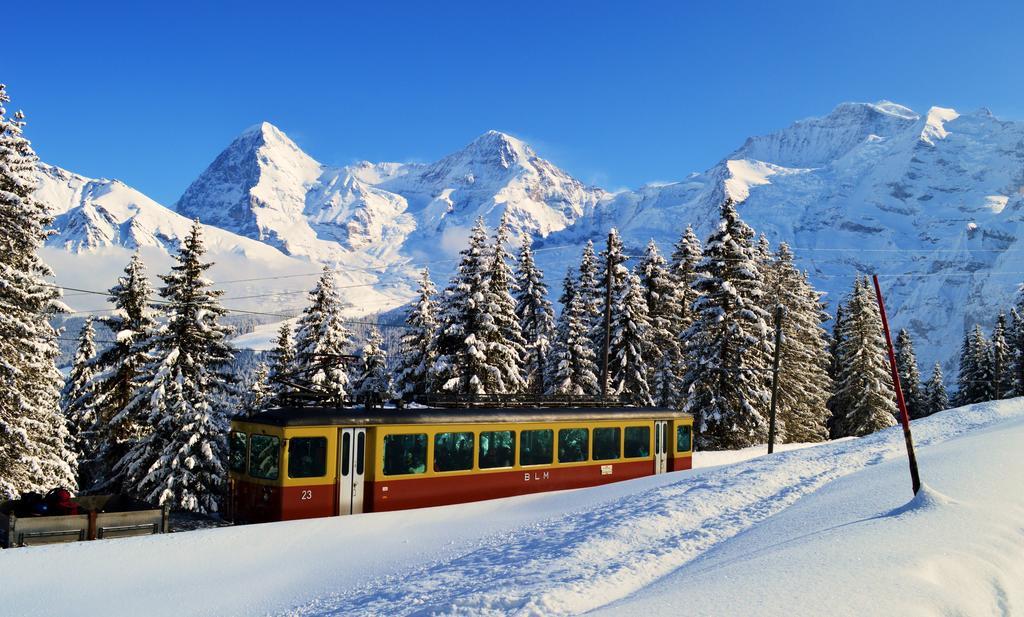 Hotel Edelweiss Wengen Bagian luar foto